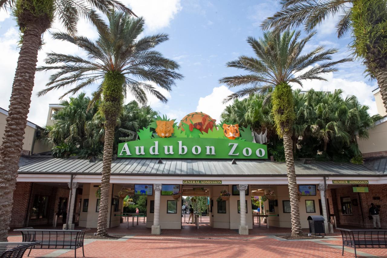 Audubon zoo